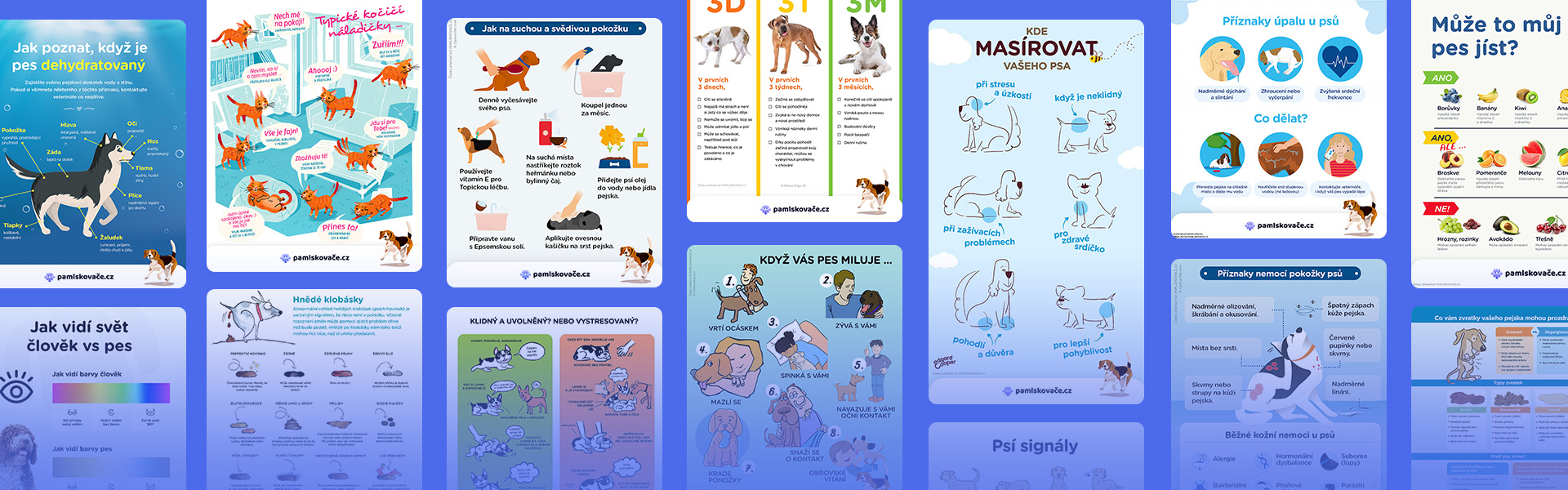 Správanie psov a mačiek – zaujímavé a zábavné infografiky (časť 1)