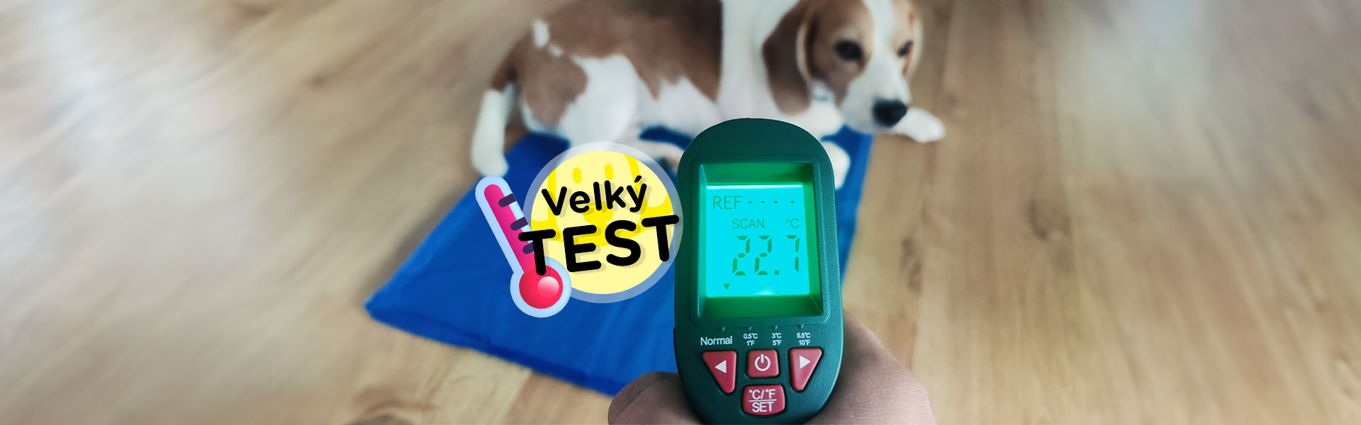 Veľký test: Chladiace podložky pre psov – nie všetky sú také chladivé, ako sľubujú
