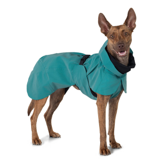 PAIKKA Visibility Raincoat - pláštěnka pro psy - smaragdová