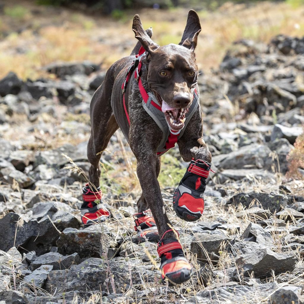 Boty pro psa - na dlouhé náročné výlety
